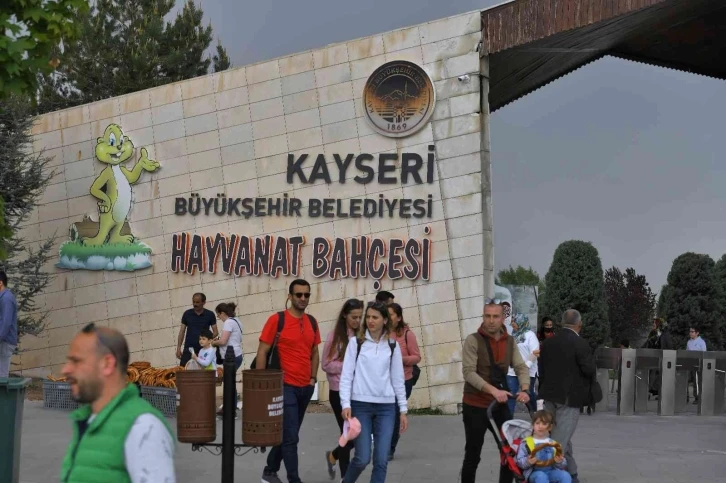 Ücretsiz hayvanat bahçesine yoğun ilgi
