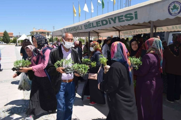 Ücretsiz olduğunu duyan koştu, 16 bin adet sebze fidesi dağıtıldı
