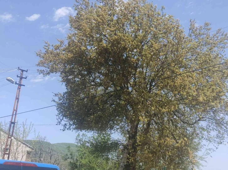 Uğuruna cinayet bile işlenen yolu açmak isterken öldü
