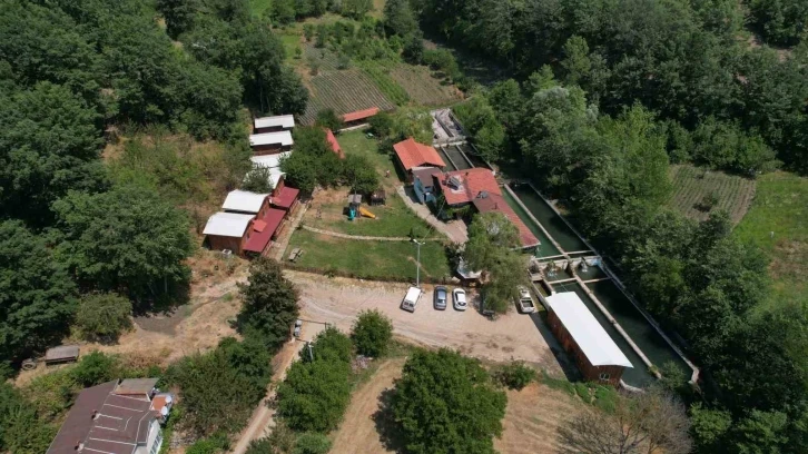 Uludağ’ın kar sularında yetiştirilen alabalık yaz aylarında rağbet görüyor
