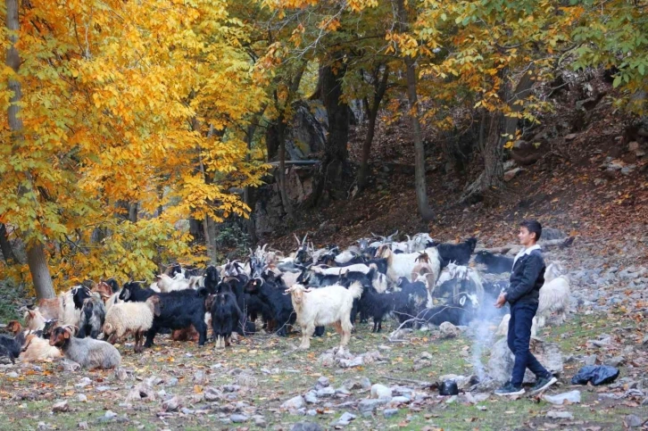 Uludere renk tonlarıyla kartpostallık görüntüler oluşturdu
