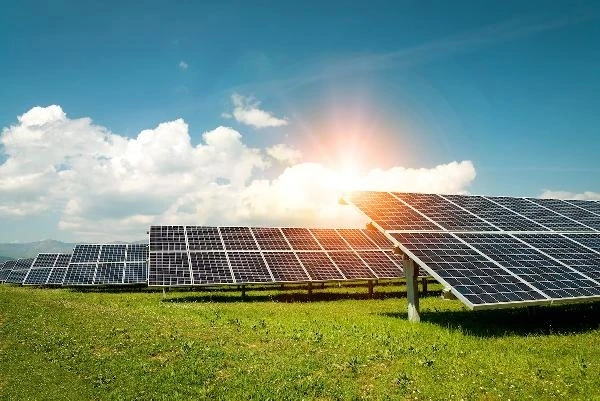 Ulusal bal markası, 501 kilowatt kapasiteli güneş enerjisi santralı kurdu 