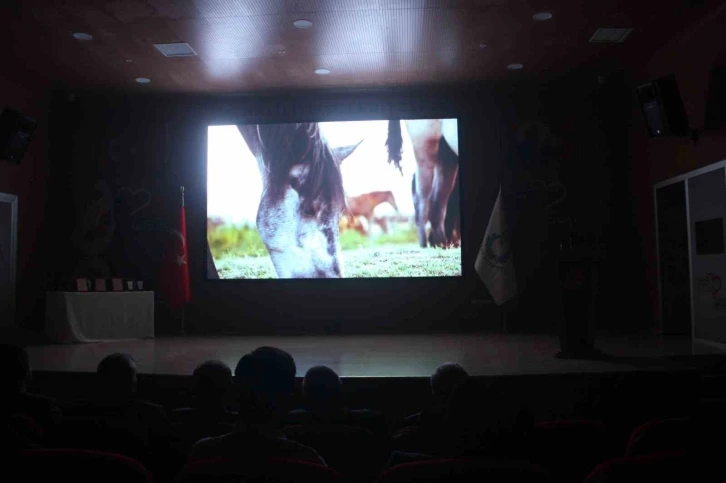 Uluslararası Göbeklitepe Kısa Film Festivali’ne 79 ülkeden 953 film katıldı
