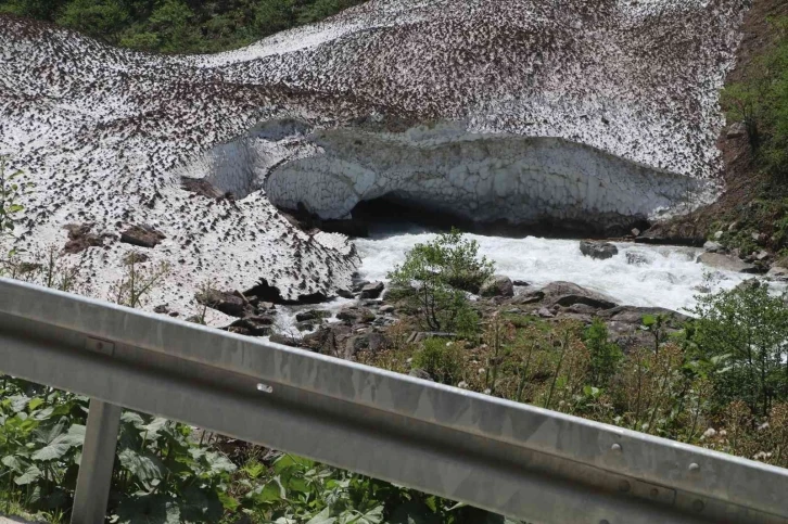 Ummanlı turistin arama çalışmaları 3. gününde devam ediyor
