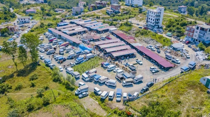 Ünye’deki modern hayvan pazarında yoğunluk
