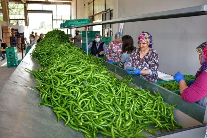 Üretken belediyecilik bilimin gündeminde
