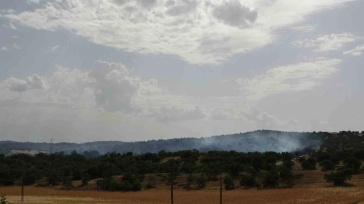 Uşak’ta 4 hektarlık makilik alan yandı
