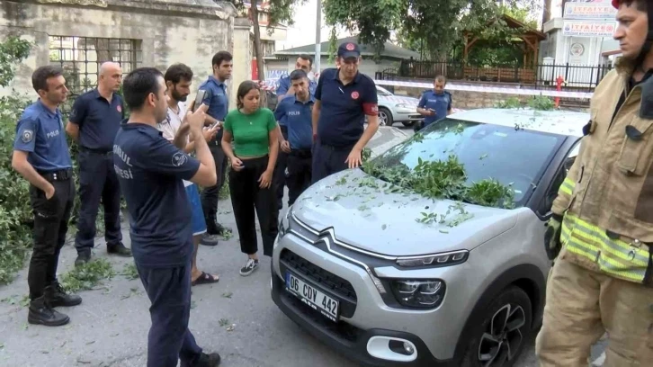 Üsküdar’da asırlık ağaç otomobilin üzerine devrildi
