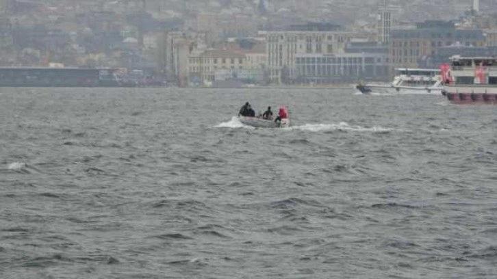 Üsküdar’da iki geminin arasında sıkışan yunus öldü