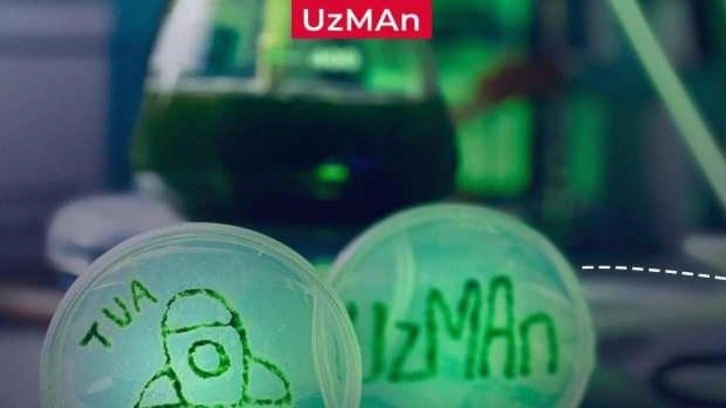 UUİ'de Deney 3: UzMan!