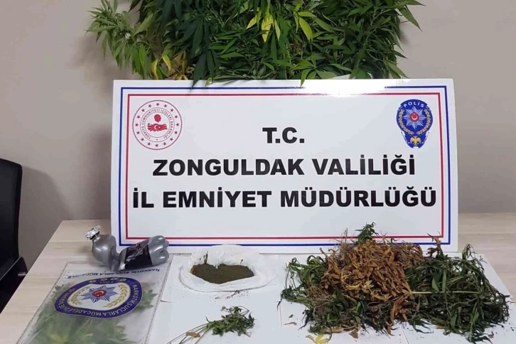 Uyuşturucu operasyonunda 118 kök kenevir ele geçirildi
