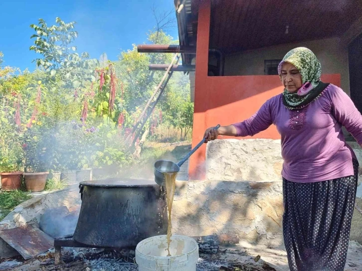 Üzümün meşakkatli pekmez yolculuğu başladı
