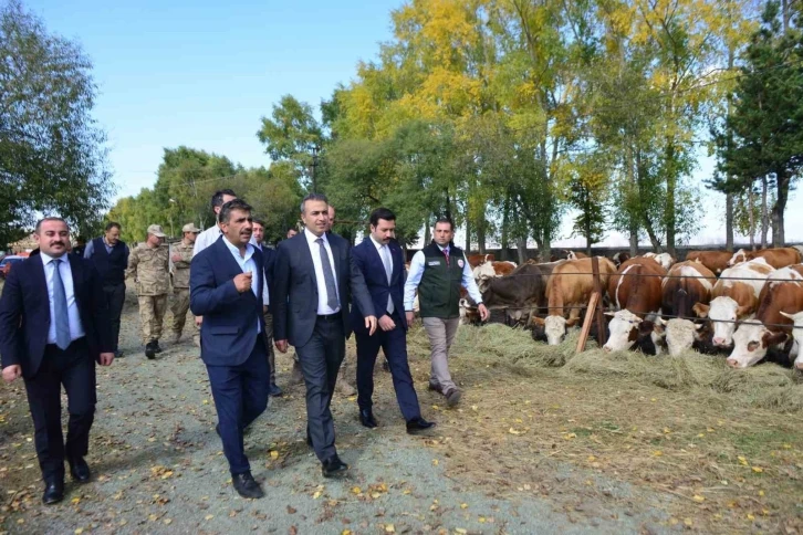 Vali Çiçek, Göle TİGEM’de incelemelerde bulundu
