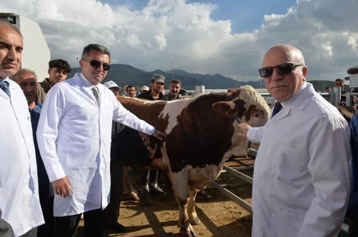 Vali Memiş ve Başkan Sekmen "Avrupa’nın en büyük canlı hayvan pazarında" incelemelerde bulundu
