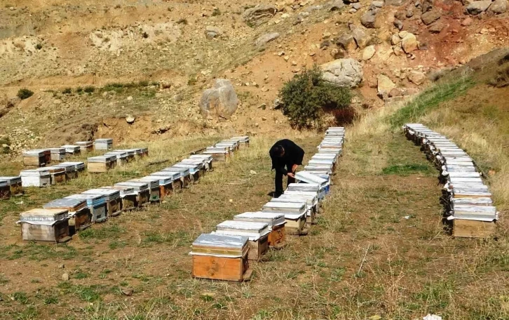 Van Arıcılar Birliği Yönetim Kurulu Üyesi Tandoğan: &quot;Van balı, kesinlikle hak ettiği yerde değildir&quot;
