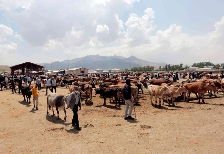 Van’da kurban kesim yerleri belirlendi
