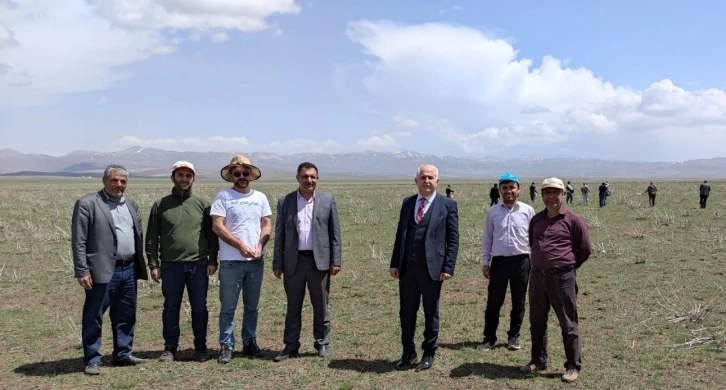 Van’da meralar ıslah ediliyor
