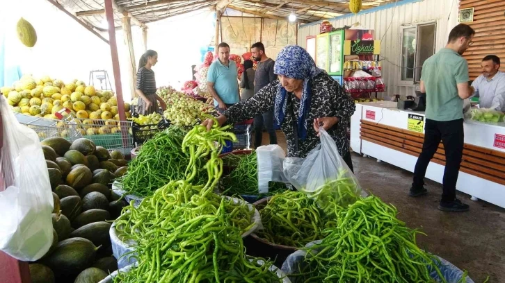 Van’da meyve ve sebze hasadı üreticinin yüzünü güldürdü
