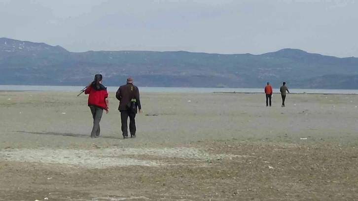 Van’da nesli tehlike altında olan kuş sayımı başladı
