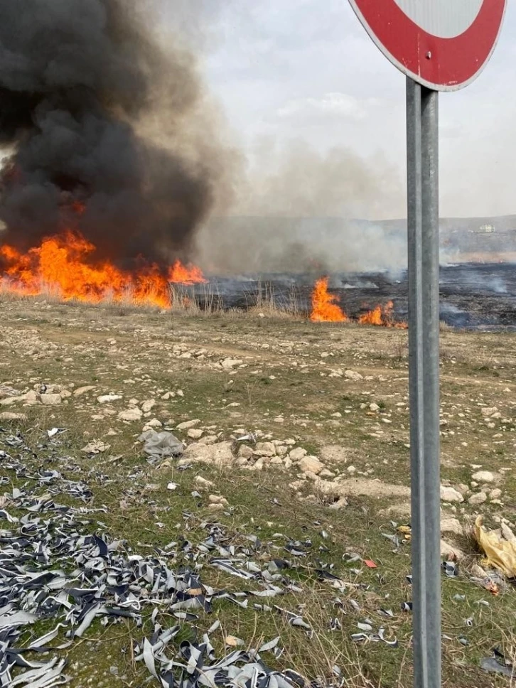 Van’da sazlık yangını
