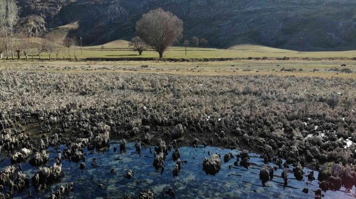 Van Gölü’nde sular çekildi, su altı peribacaları ortaya çıktı
