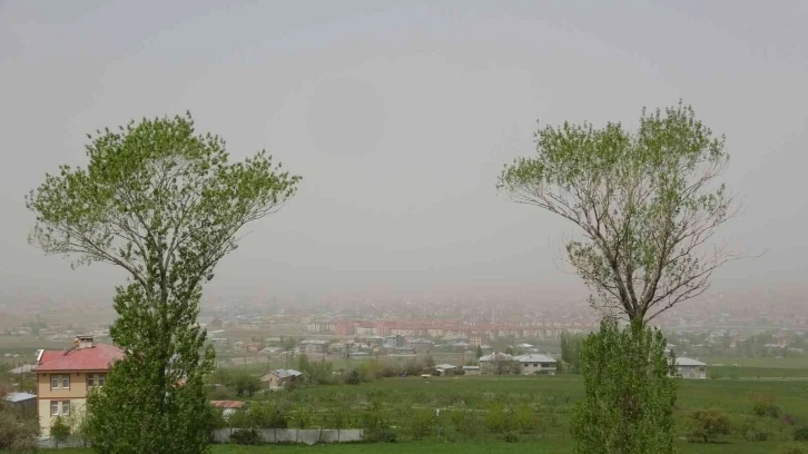 Van toz bulutuyla kaplandı
