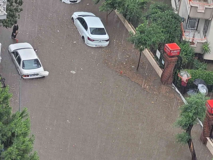 Vendik değil, Aydın
