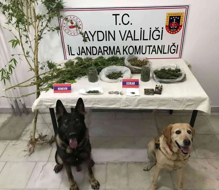 Yakalama kararı olan şüpheli Yenipazar’da yakalandı
