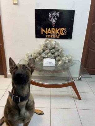 Yakıt deposuna gizlenen uyuşturucuyu narkotik köpeği buldu