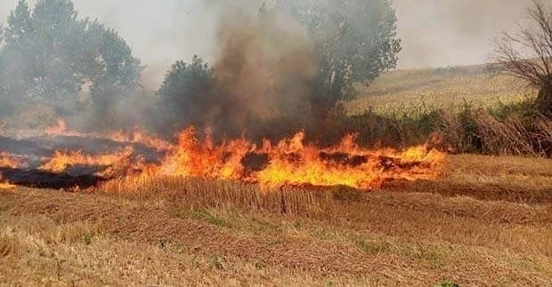 Yalova Altınova itfaiyesinden orman ve anız yangını uyarısı
