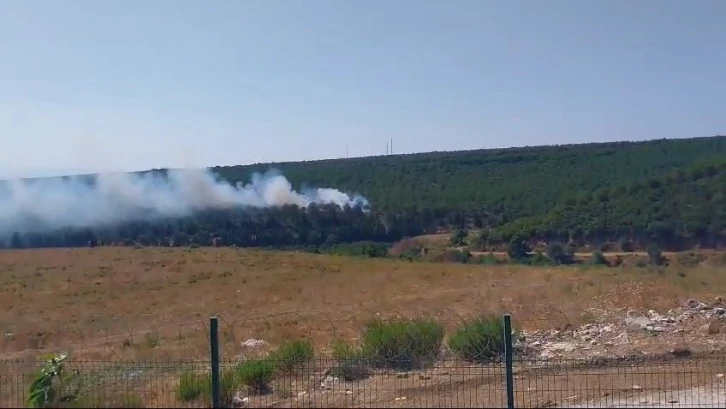 Yalova’da 2 ayrı noktada orman yangını
