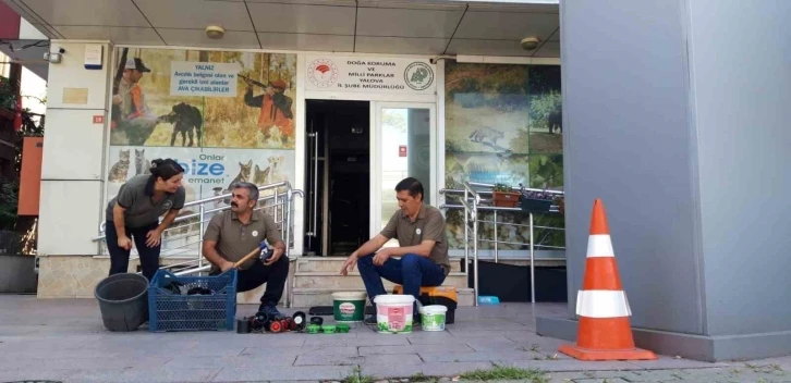 Yalova’da bıldırcın sesi çıkaran cihazlar imha edildi
