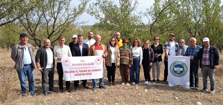 Yalovalı çiftçiler Edirne’ye teknik geziye gitti
