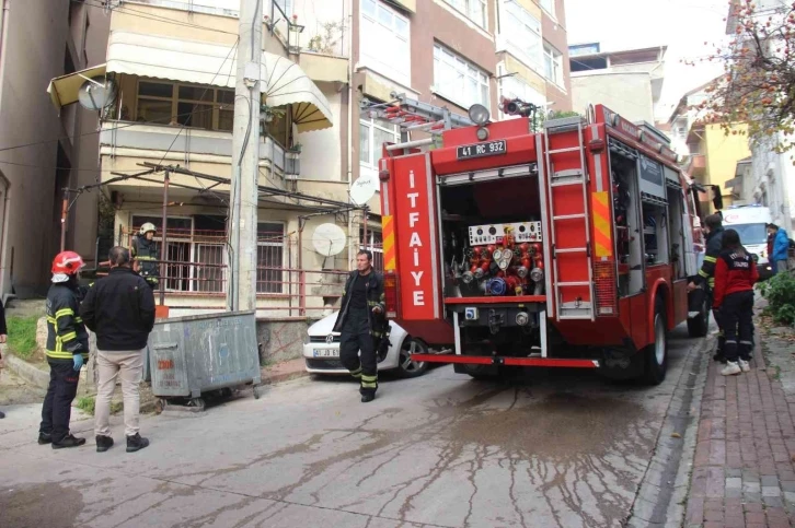 Yanan evden çıkarılan kediyi hayatta tutma mücadelesi
