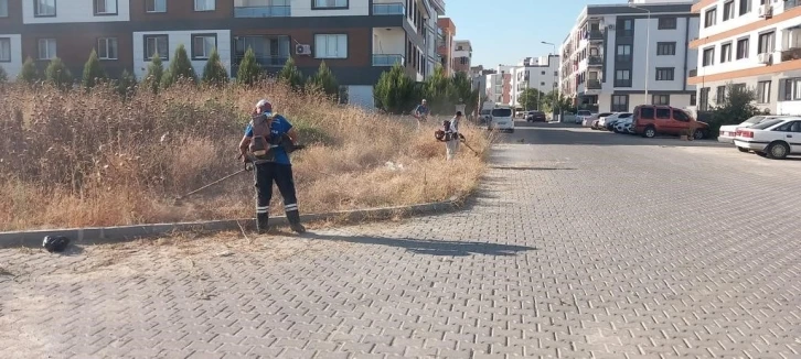 Yangın riskine karşı otlar belediye ekiplerince biçiliyor
