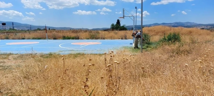 Yangına davetiye çıkaran kurumuş otlar temizleniyor
