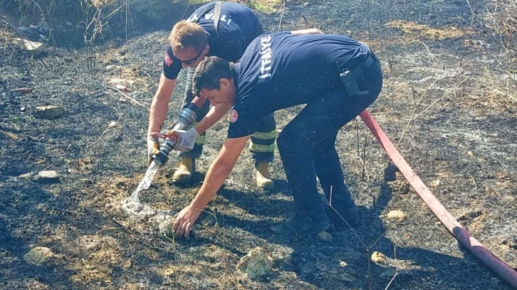 Yangında kurtarılan kaplumbağaya itfaiyeden can suyu
