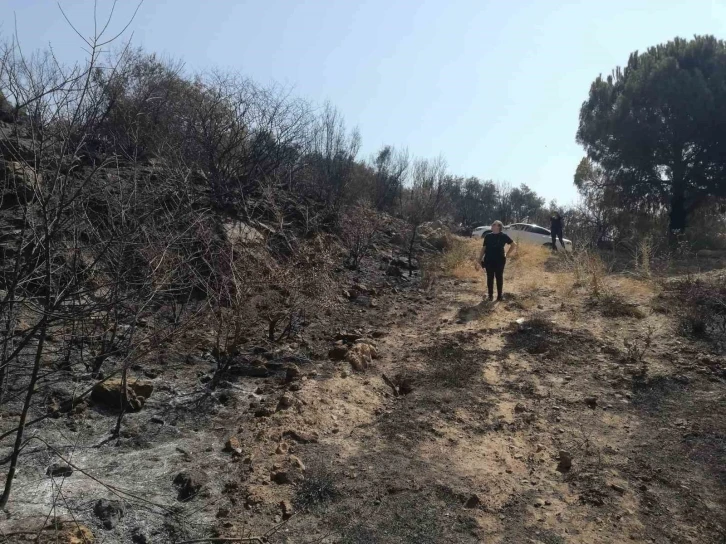 Yangından zarar gören tarımsal alanlarda incelemelerde bulunuldu
