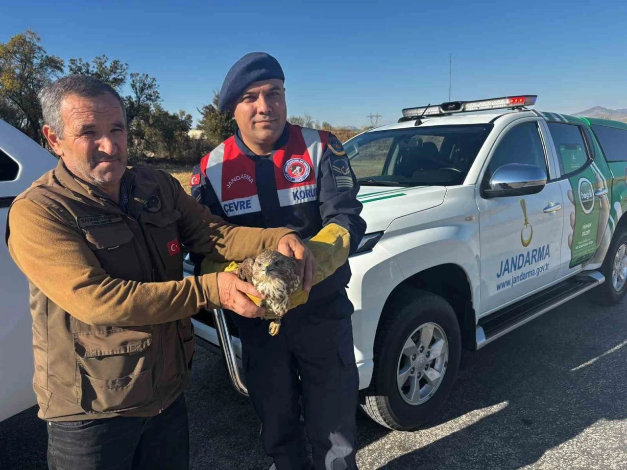 Yaralı boz şahin jandarma tarafından kurtarıldı
