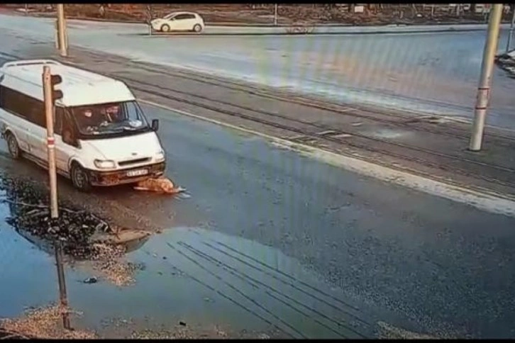 Yaralı köpeğe akıl almaz muamele