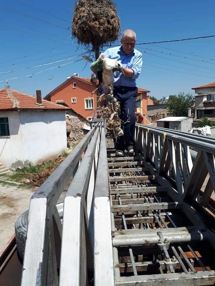 Yaralı leylek için itfaiye ve köylüler seferber oldu
