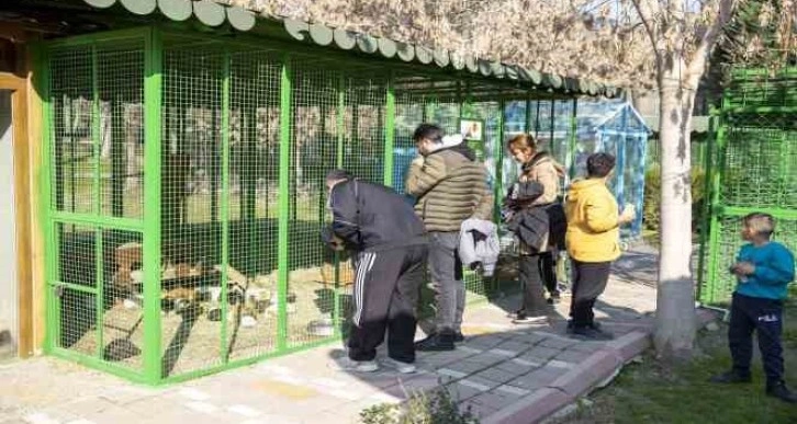 Yarıyıl tatilinde Tarsus Doğa Parkı’na yoğun ilgi