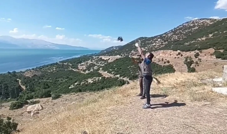 Yavru Kukumav, Üveyik ve Tepeli Guguk kuşları tedavi edilerek doğaya salındı
