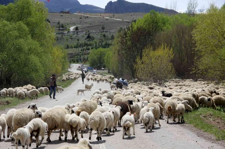 Yayla mesaisini tamamlayan Doğu Anadolu’daki göçerler dönüş yolunda
