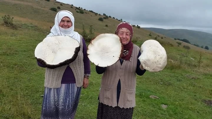 Yaylada gezerken buldu, görenler gözlerine inanamadı
