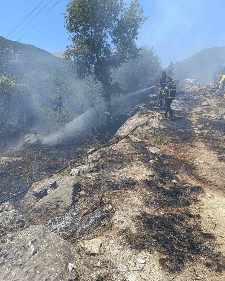 Yayladağı’nda orman yangını
