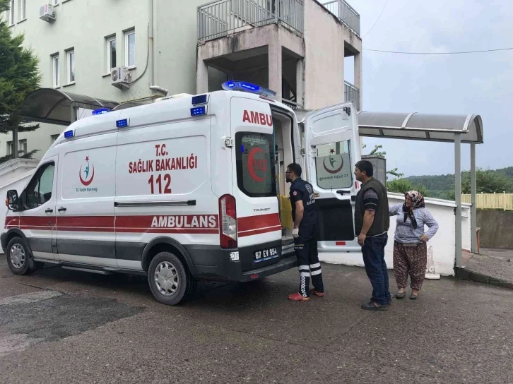 Yediği mantardan zehirlenen kadın hastanelik oldu
