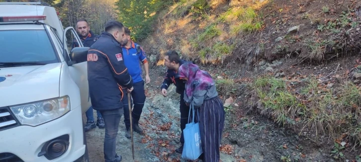 Yeğeniyle mantar toplamaya giden yaşlı kadın ormanda kayboldu
