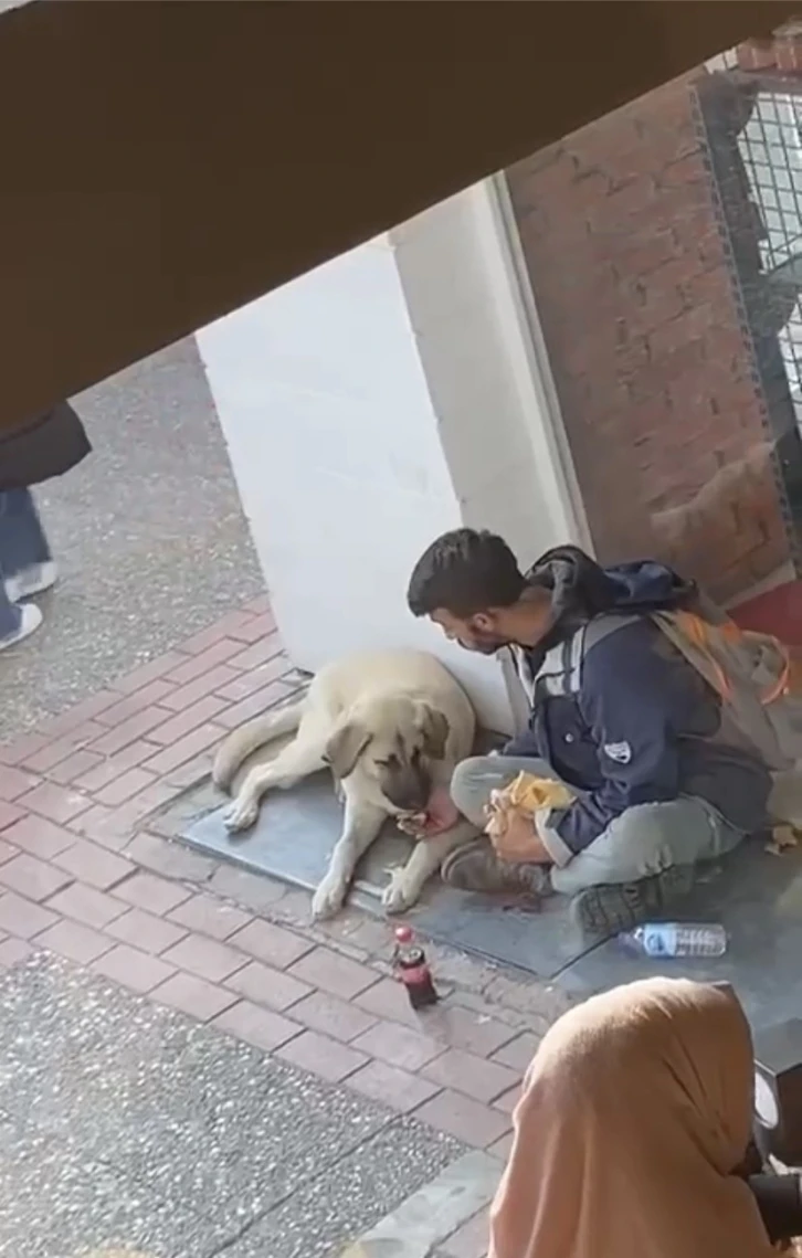 Yemeğini sokak köpeği ile paylaştı, sosyal medyada viral oldu
