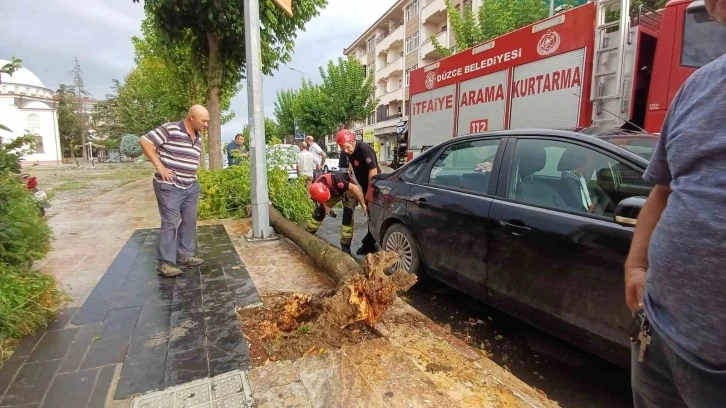 Yeni aldığı aracının üzerine ağaç devrildi
